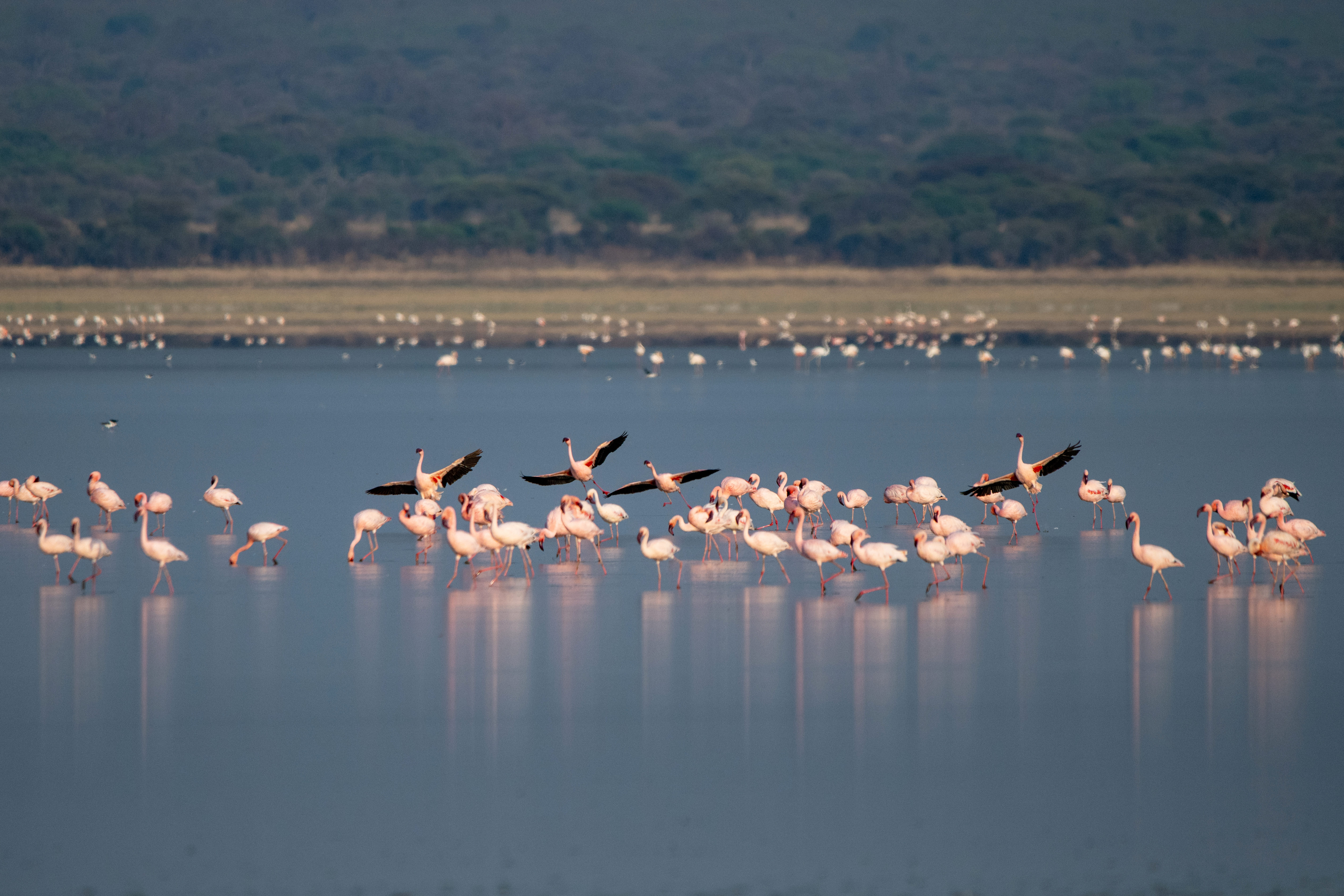 Arusha National Park